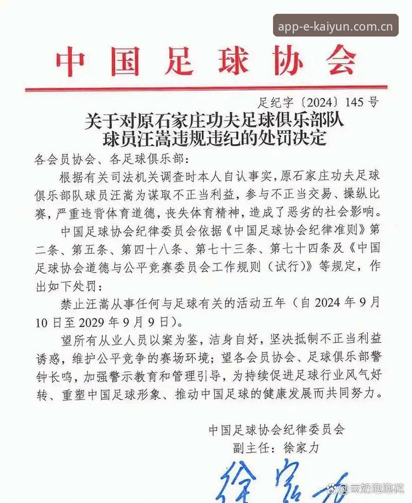 中国足球反腐风暴深度解析：终身禁足与5年禁赛名单对比，开运体育平台带你直击行业乱象